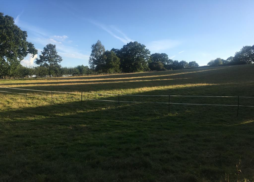 Electric tape for a horse paddock
