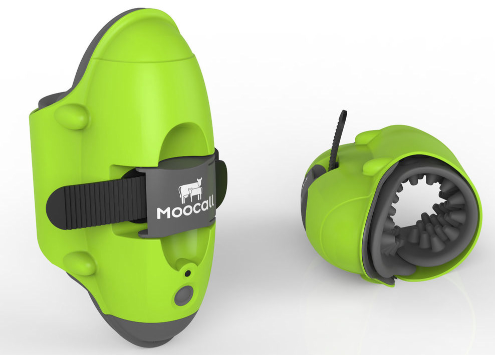 Moo-tastic!