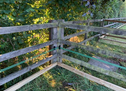 Keeping in Horses and sheep using 40mm electric fence tape