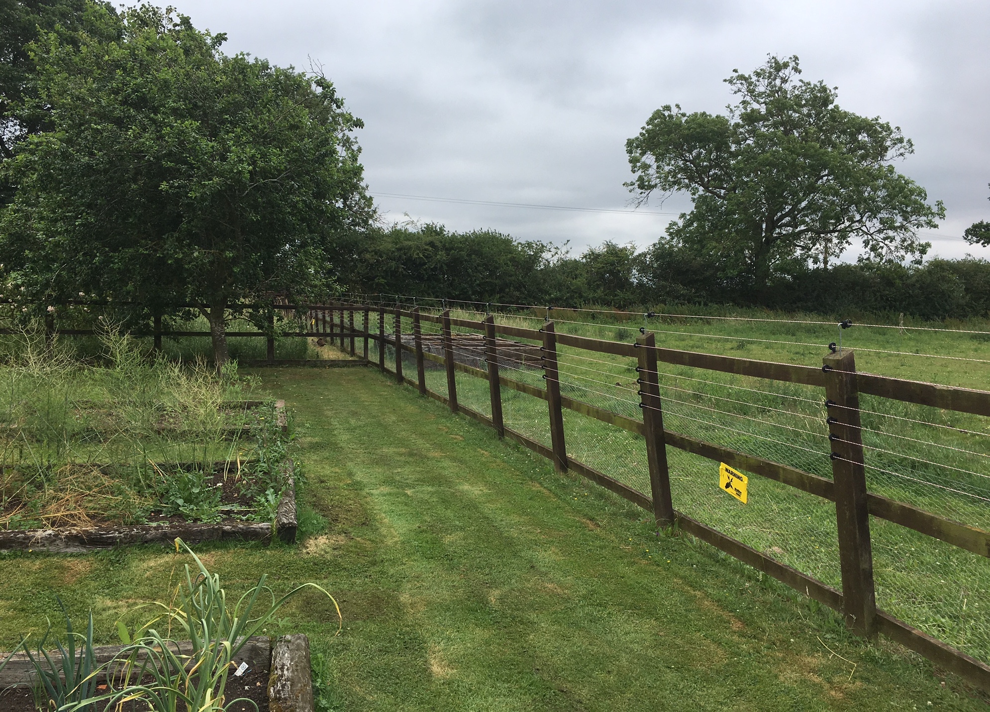 Keeping Free Range Chickens Safe