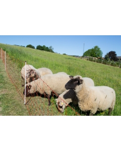 14515.  Horizont 50m x 90cm Sheep Net - Orange