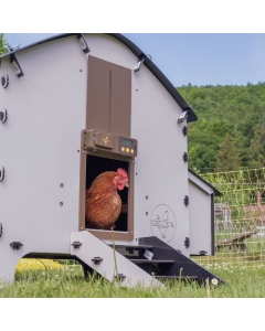 Medium Chick’A® Harmony Chicken Coop - Recycled Plastic - For up to 6 Chickens