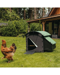 Nestera Chicken House - Medium