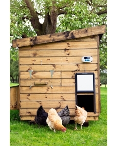 CGPro. Chicken Guard Automatic Door - Pro with Self-Locking Door