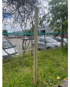 WP1200.  Wooden Post 1.2m x 50mm dia.