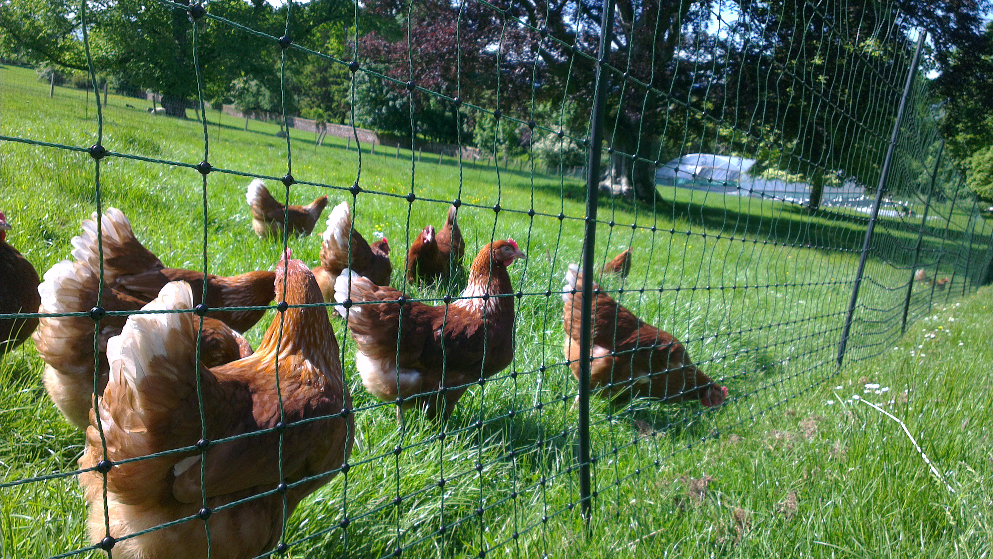 Electric Fence Earthing (Grounding)