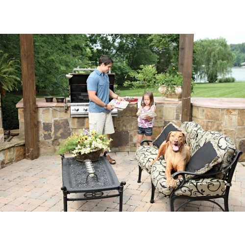 PetSafe ornamental YardMax Rechargeable Fence